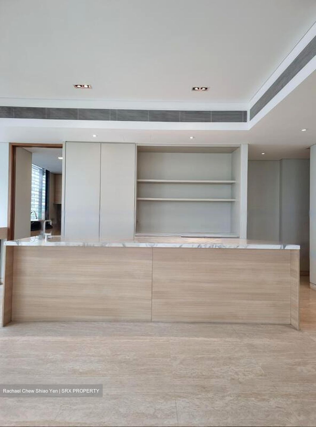 Hana (D10), Condominium #498699091